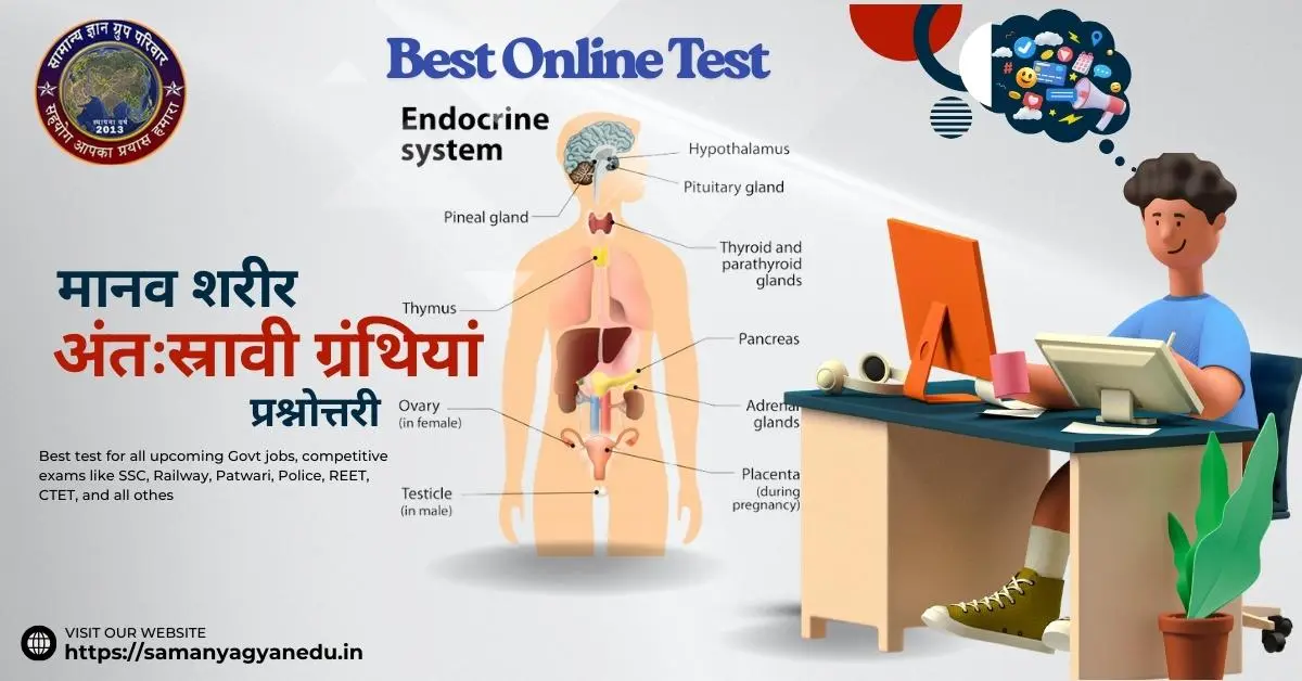 Human Endocrine System Quiz